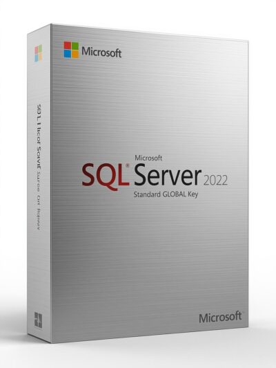 Microsoft SQL Server 2022 Standard (PC) - Microsoft Key - GLOBAL
